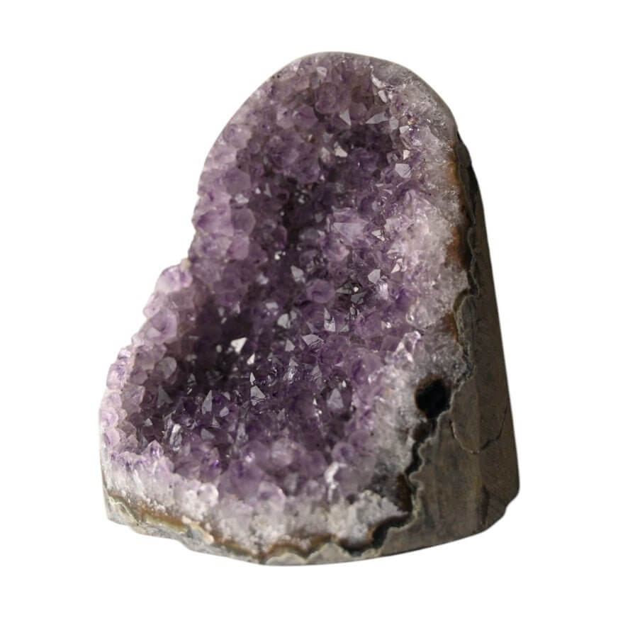 Amethystdruse mit glitzernden Spitzen – Majestätisches Naturkunstwerk