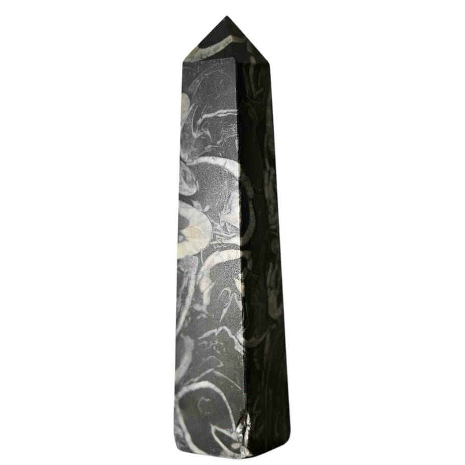 Schwarzer Muschel Jaspis Obelisk - Fossile Muster in Form gebracht