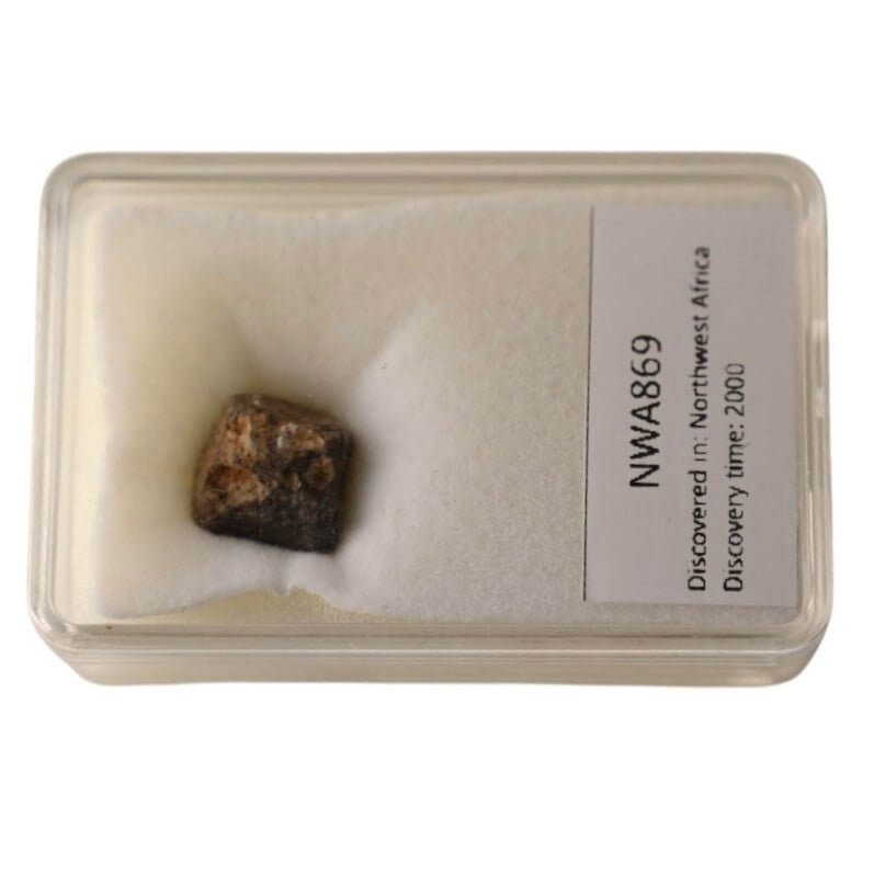 Meteorit „Nordwest-Afrika“
