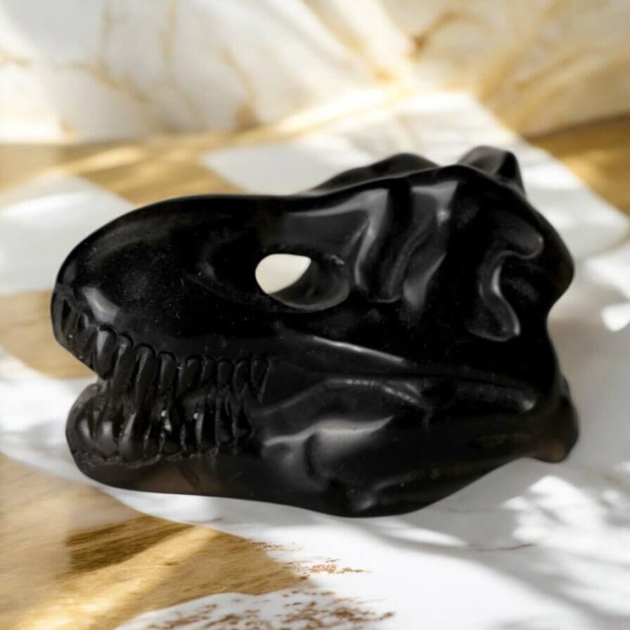 T-Rex Kopf aus Obsidian – Ausdrucksstarkes Kristallobjekt voller Energie