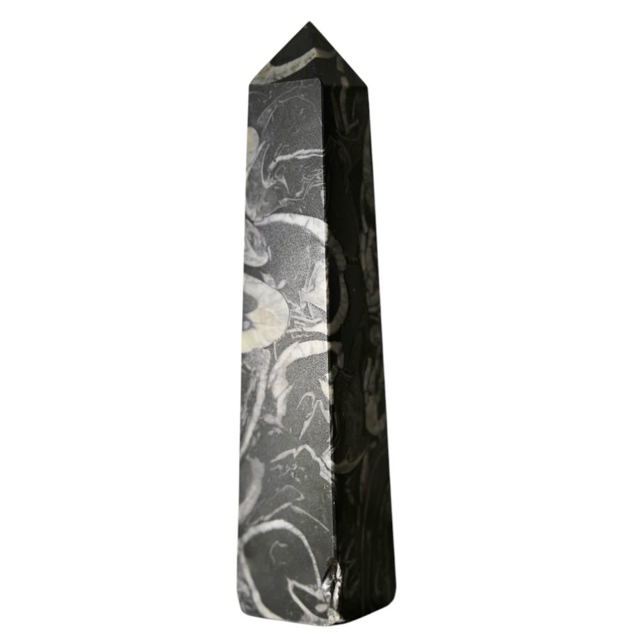 Schwarzer Muschel Jaspis Obelisk - CrystalScents