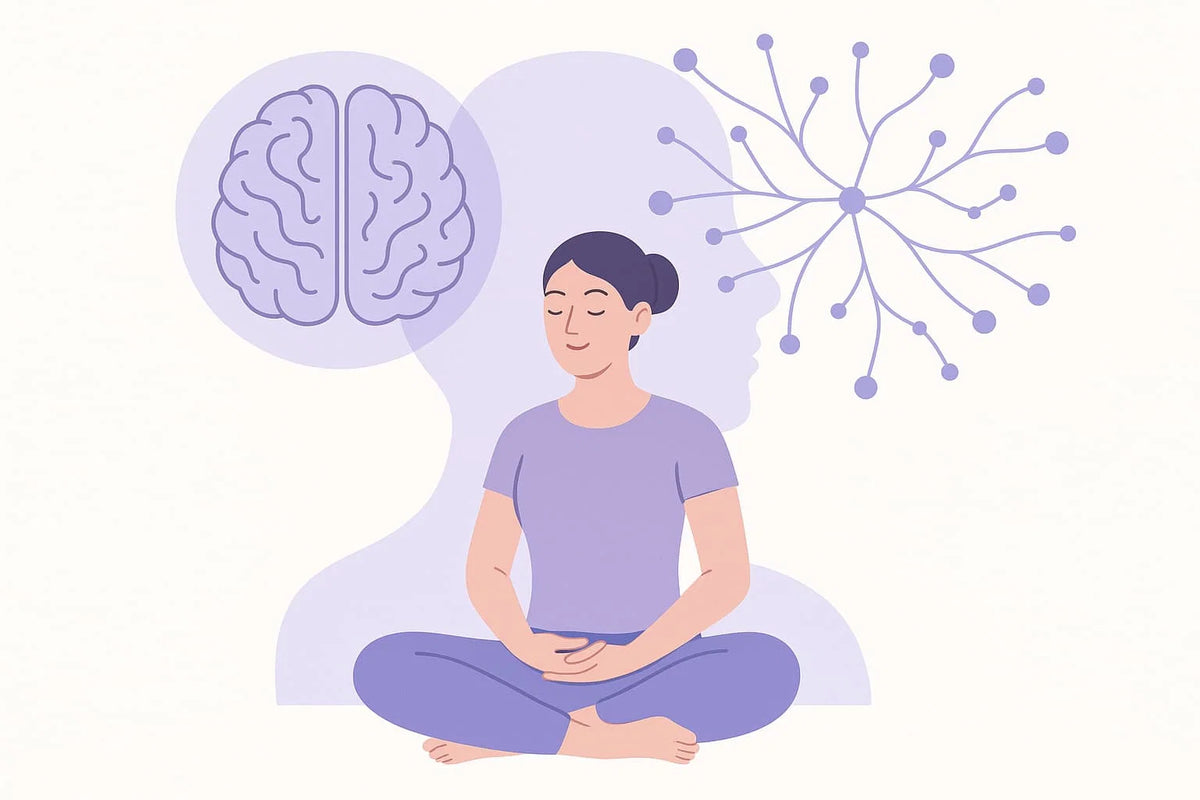 Meditation und Gehirn: Neurologische Effekte verstehen