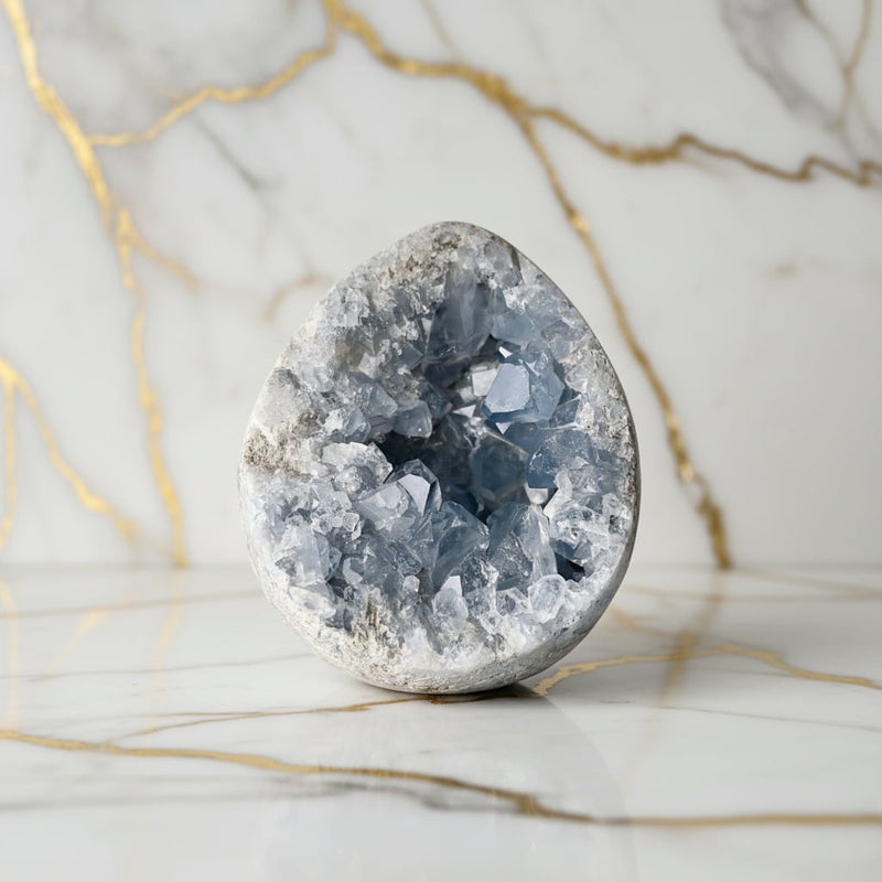 Highlights – Inspiration & Fokus