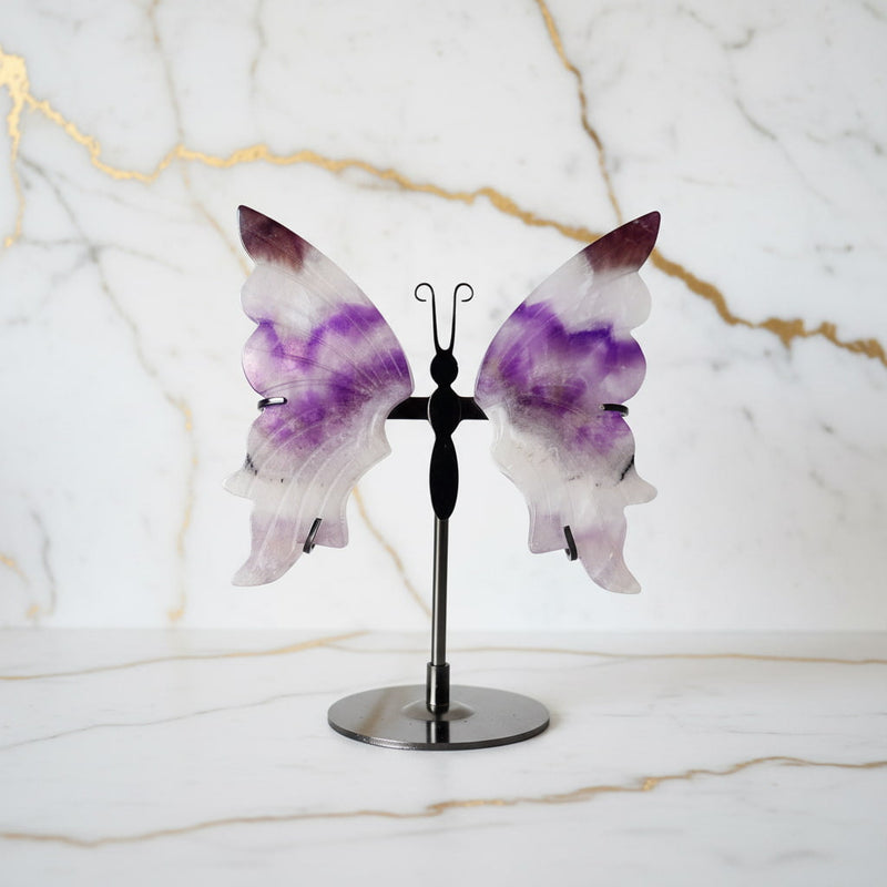 Schmetterlinge – Leichtigkeit & Transformation