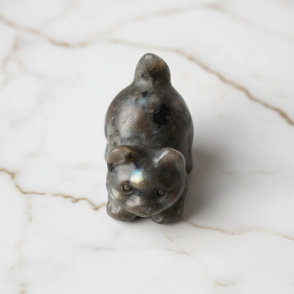 Labradorit Katze – Schillernde Farbreflexe