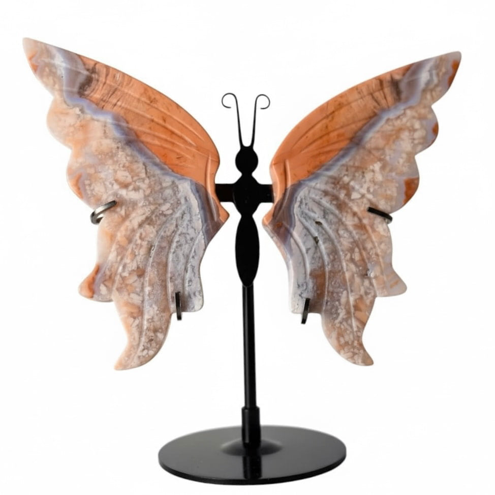 Achat Schmetterling mit zarten Flügeln