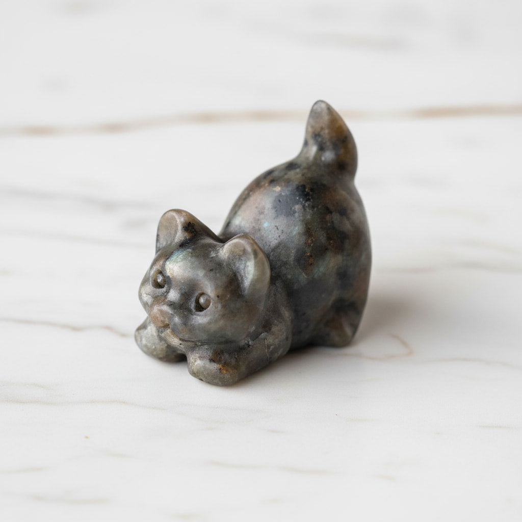 Labradorit Katze – Schillernde Farbreflexe