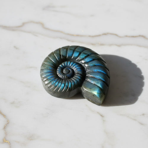 Labradorit Nautilus – Verbindung von Natur & Eleganz CrystalScents