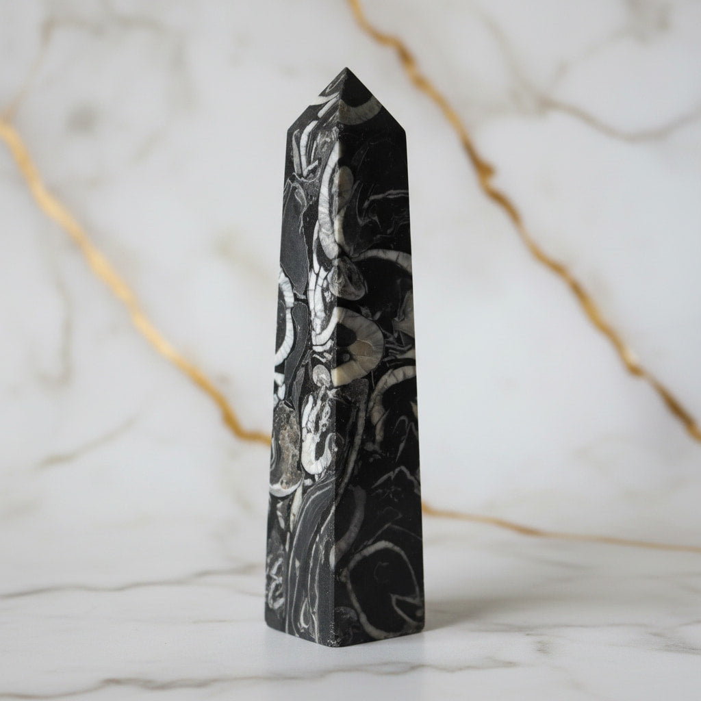 Jaspis Obelisk – Fossile Muster JETZT sichern CrystalScents