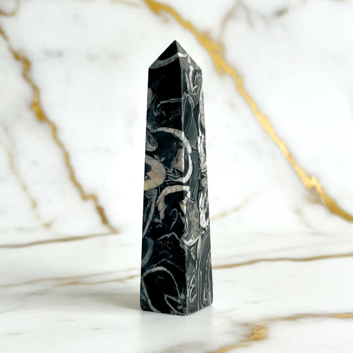 Jaspis Obelisk – Fossile Muster JETZT sichern CrystalScents