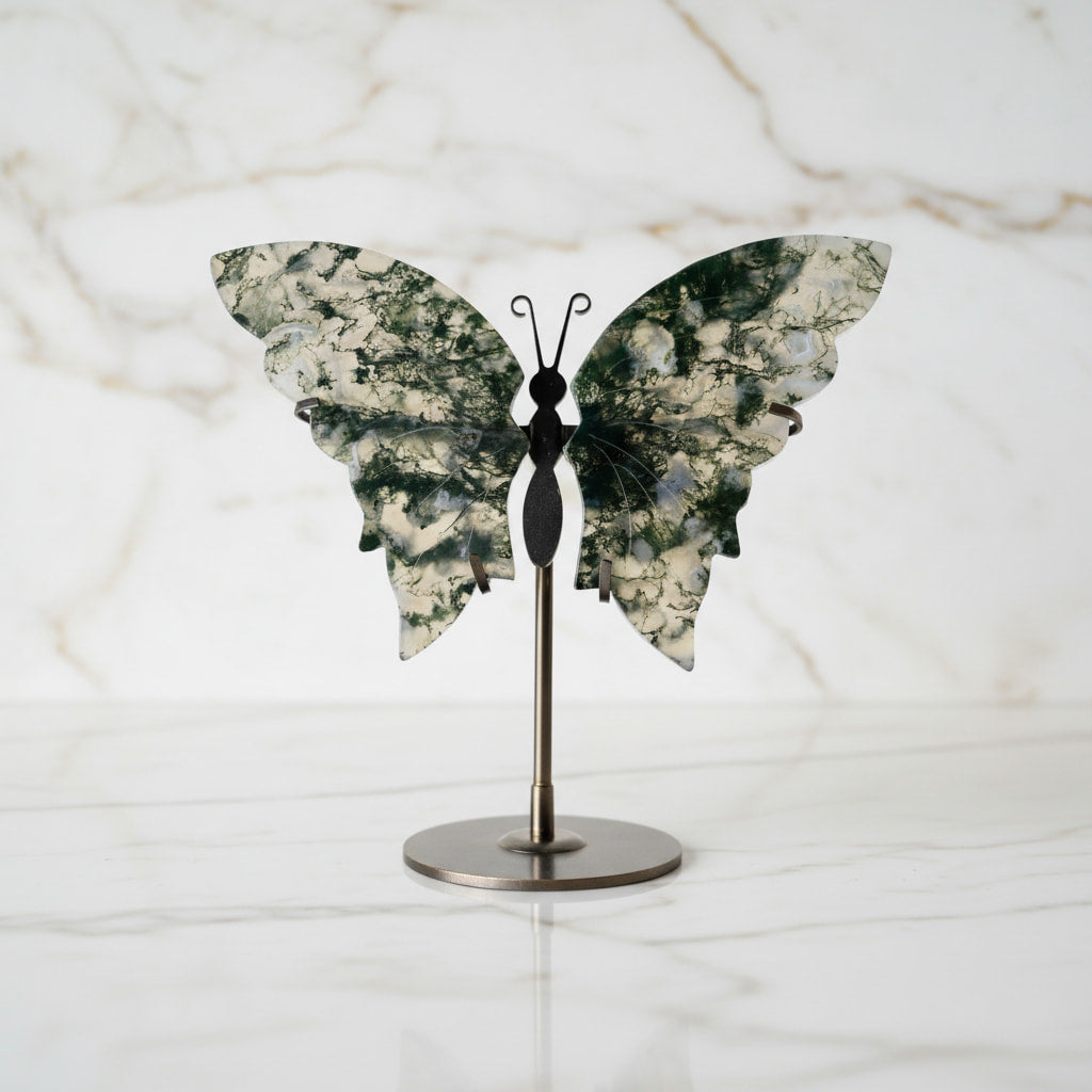 Moosachat Schmetterling - Natur & Balance