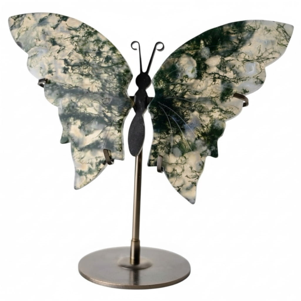 Moosachat Schmetterling - Natur & Balance