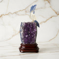 Amethystdruse – Mit Bergkristall Vogel CrystalScents