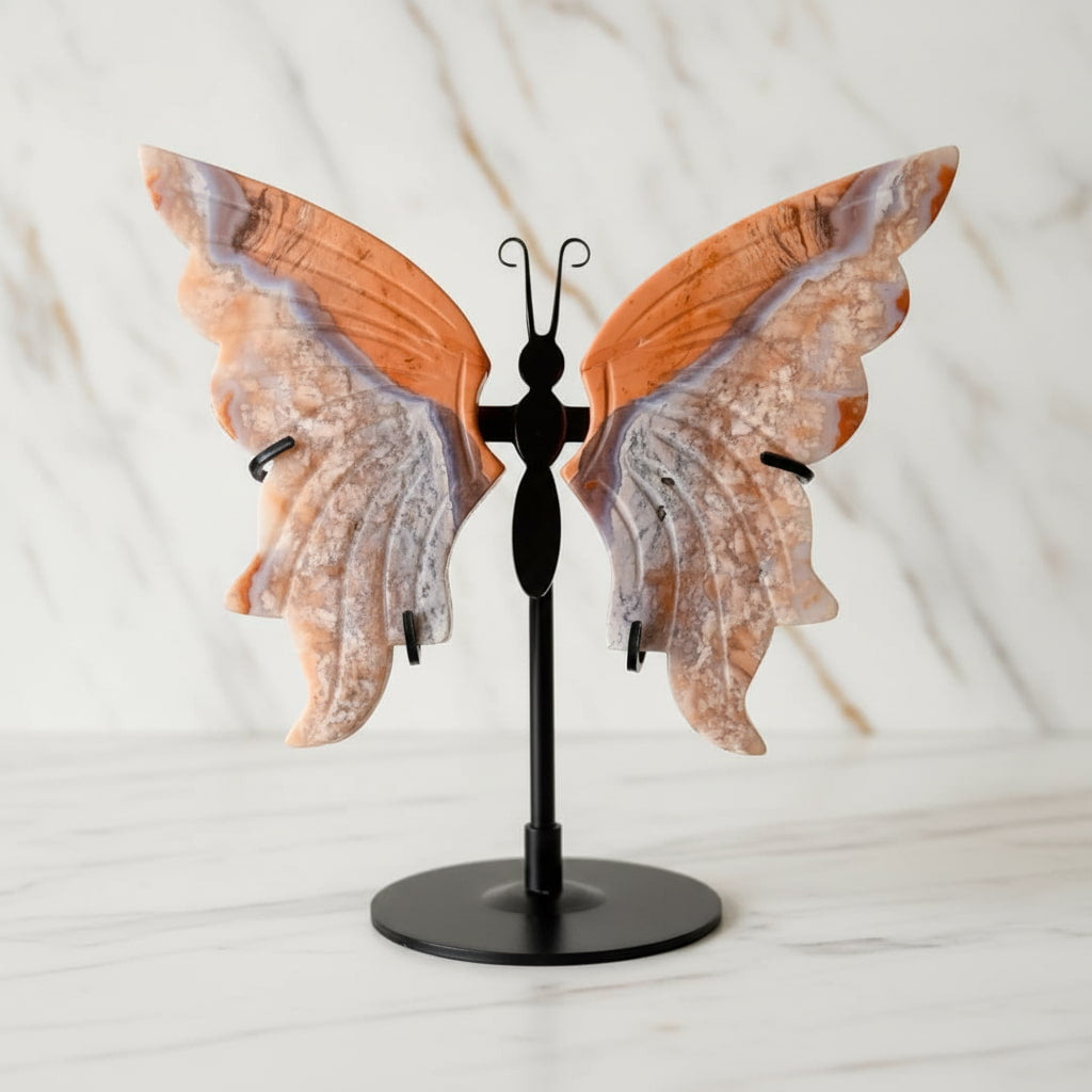 Achat Schmetterling mit zarten Flügeln