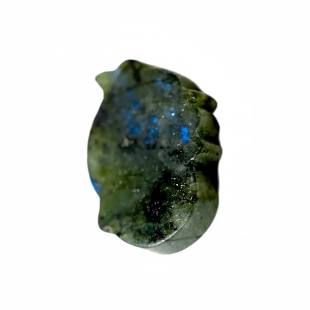 Labradorit Delfin – Schillerndes Einzelstück JETZT sichern CrystalScents