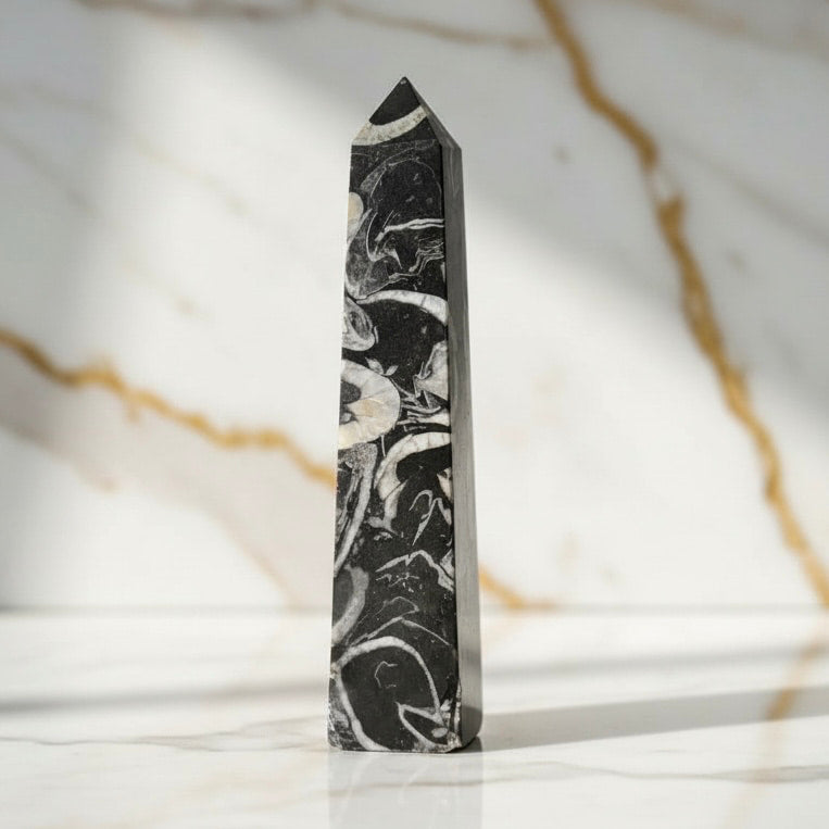 Jaspis Obelisk – Fossile Muster JETZT sichern CrystalScents