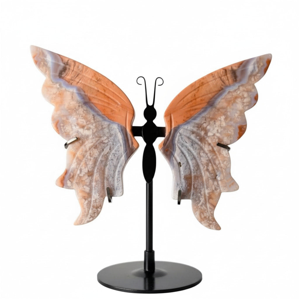 Achat Schmetterling mit zarten Flügeln