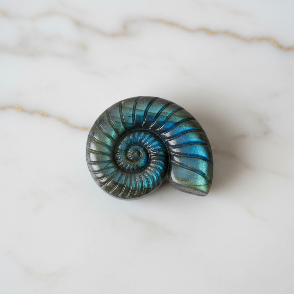 Labradorit Nautilus – Natur & Eleganz JETZT entdecken CrystalScents