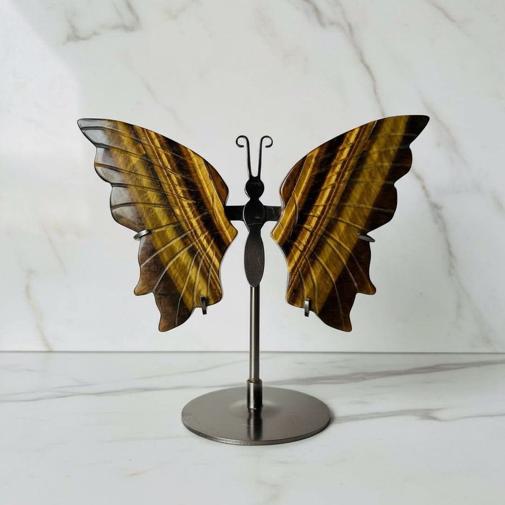 Tigerauge Schmetterling - Schutz & Natürlichkeit