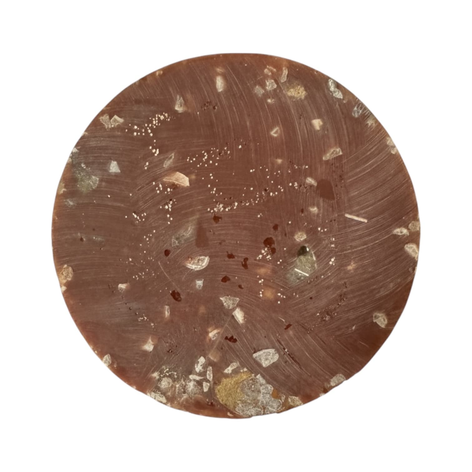 Ammoniten Scheibe - Fossile Kunst CrystalScents