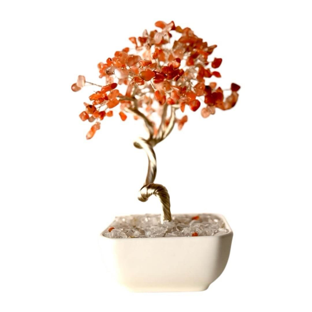 Roter Achat-Baum im Keramiktopf – Stilvolles Kristallobjekt für Energie und Ausstrahlung