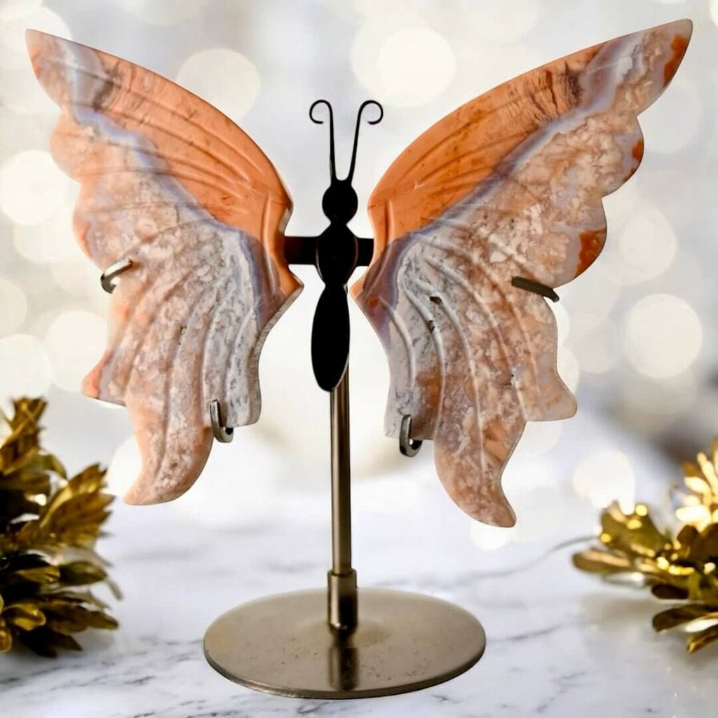 Achat Schmetterling mit zarten Flügeln