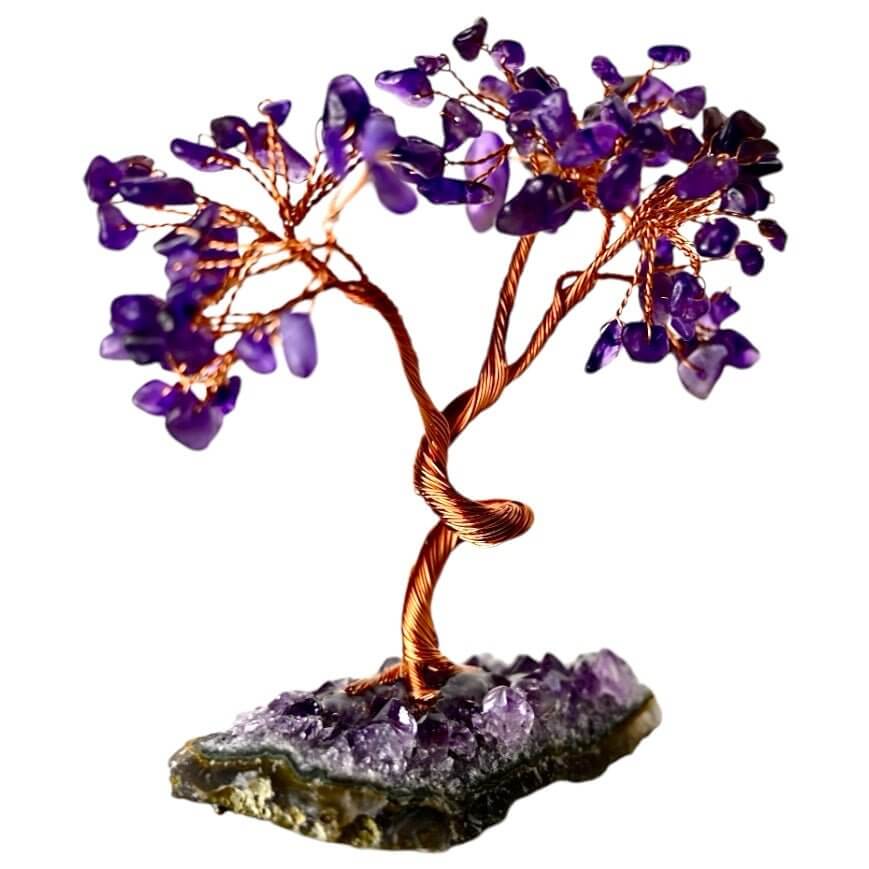 Amethyst Baum auf Amethystdruse – Glitzernde Kristalle in leuchtendem Violett