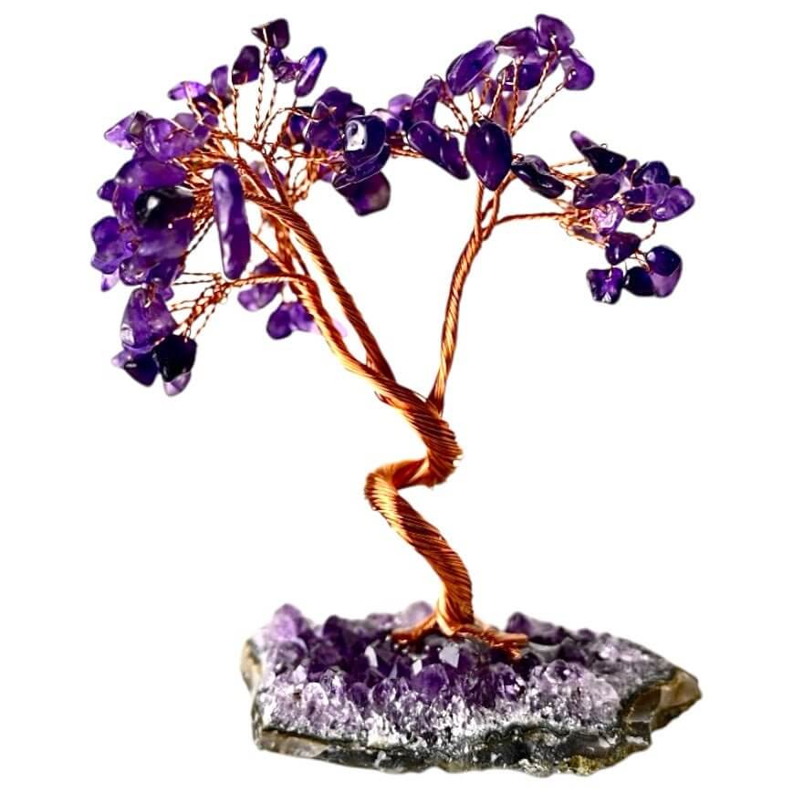 Amethyst Baum auf Amethystdruse – Glitzernde Kristalle in leuchtendem Violett