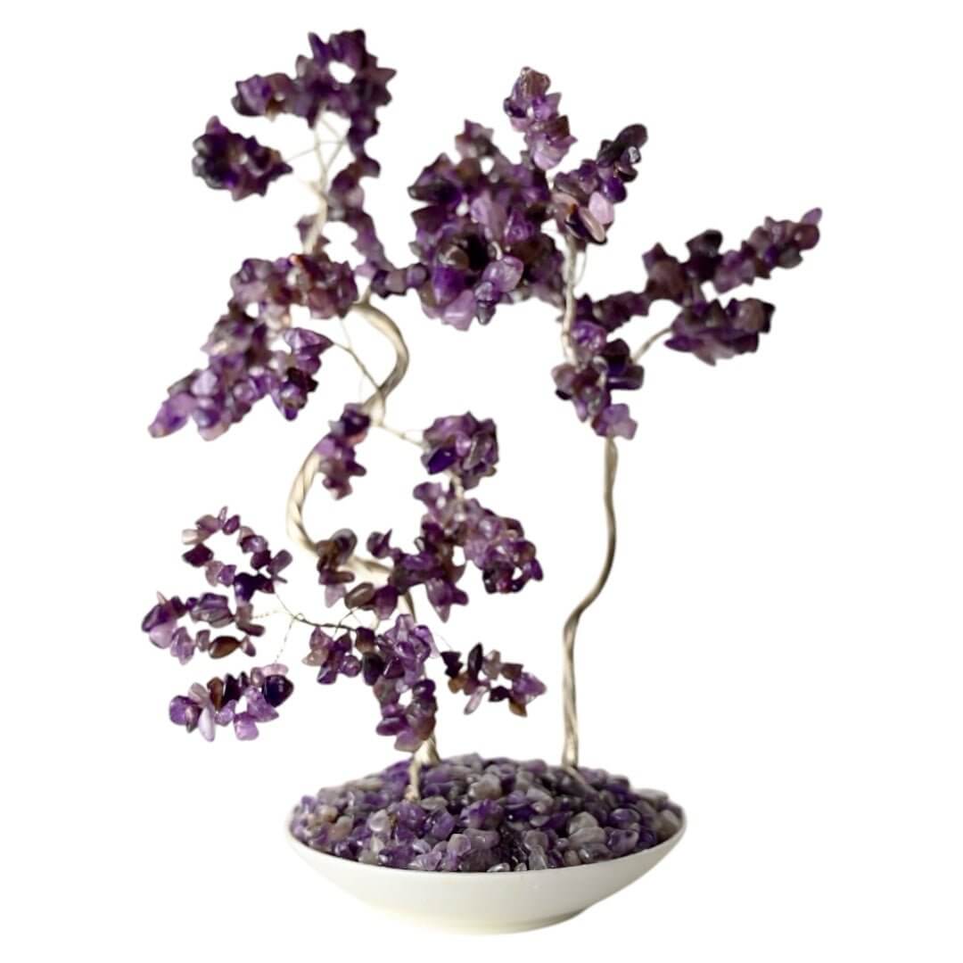 Großer Amethyst Baum in Keramikschale - Highlight für jedes Zuhause