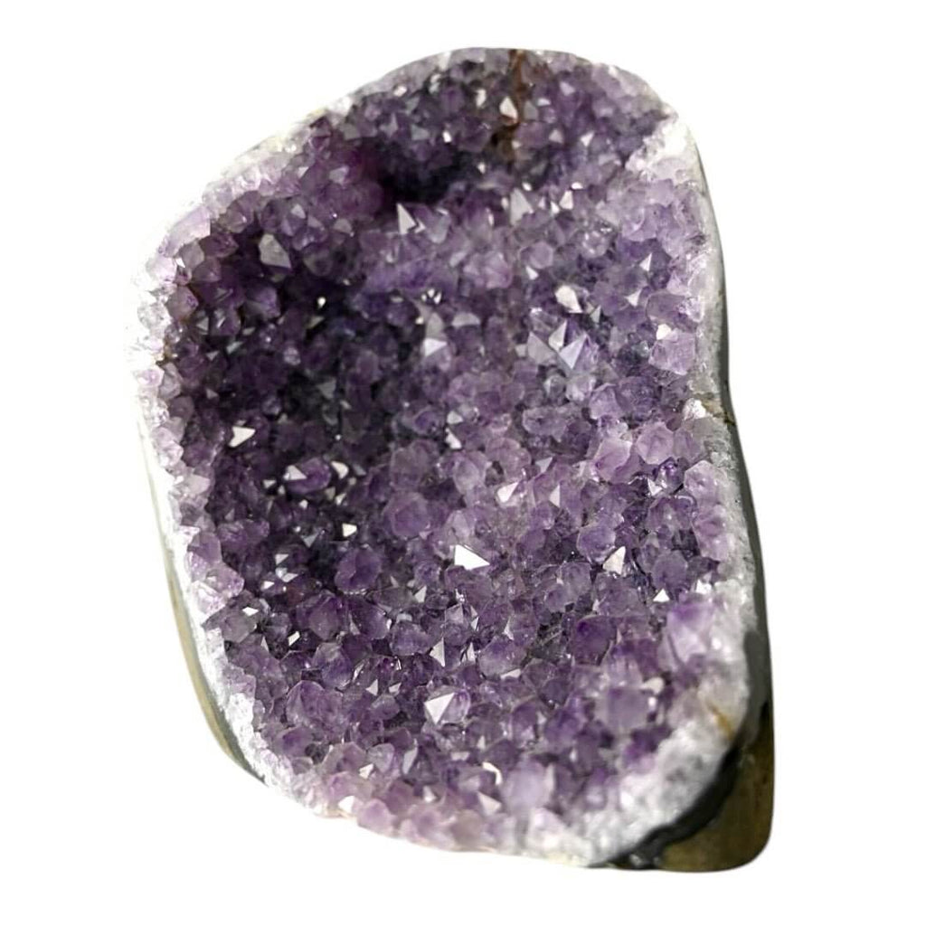 Amethystdruse mit funkelnden Spitzen – Lebendige Energie