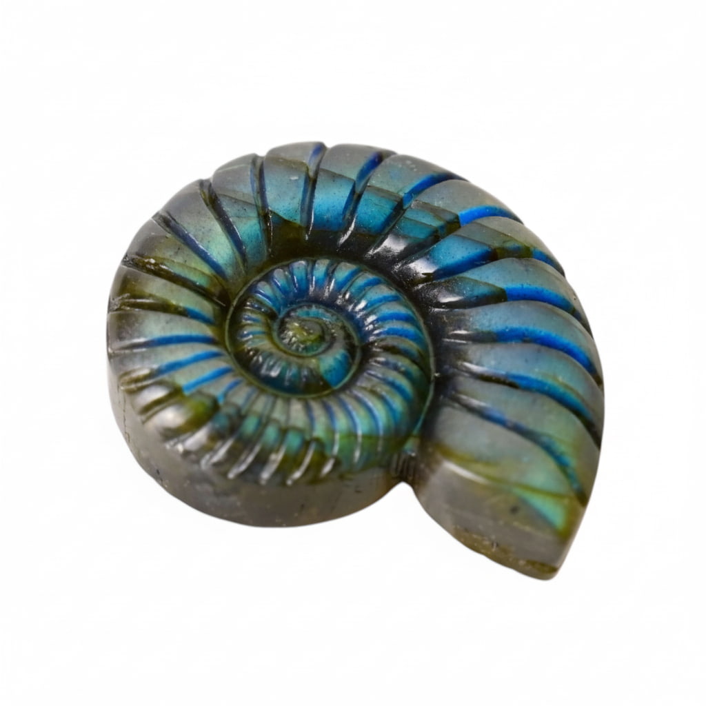 Labradorit Nautilus – Natur & Eleganz JETZT entdecken CrystalScents