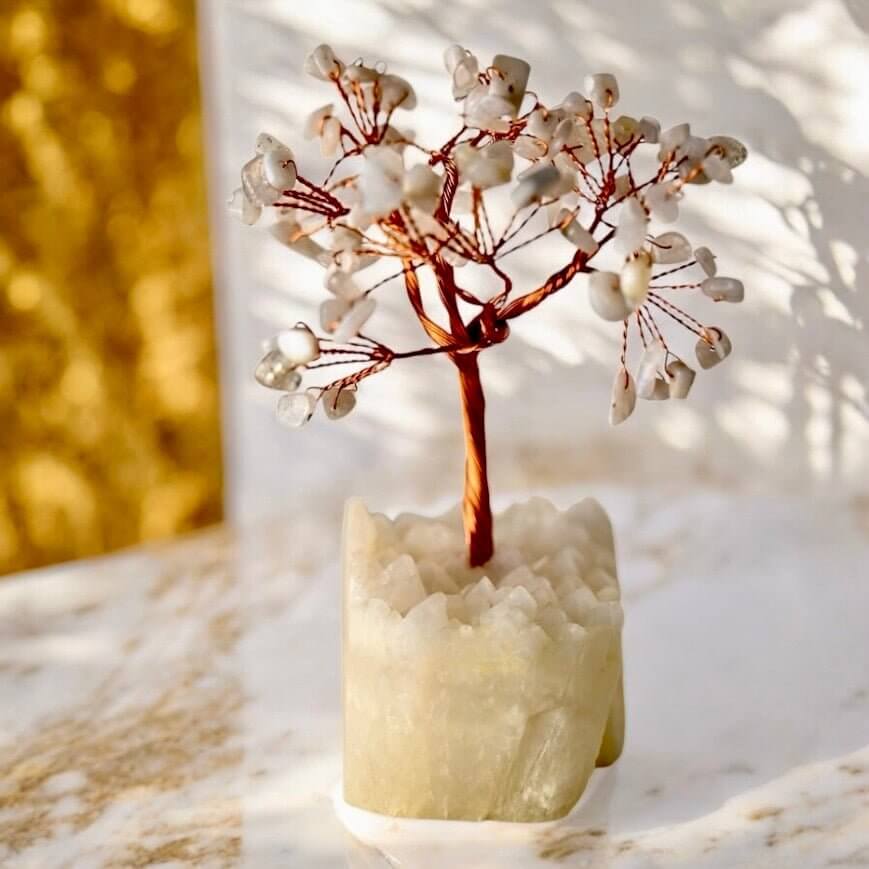 Weißer Quarz Baum auf Bergkristalldruse - Funkelnde Natur in hellen Tönen