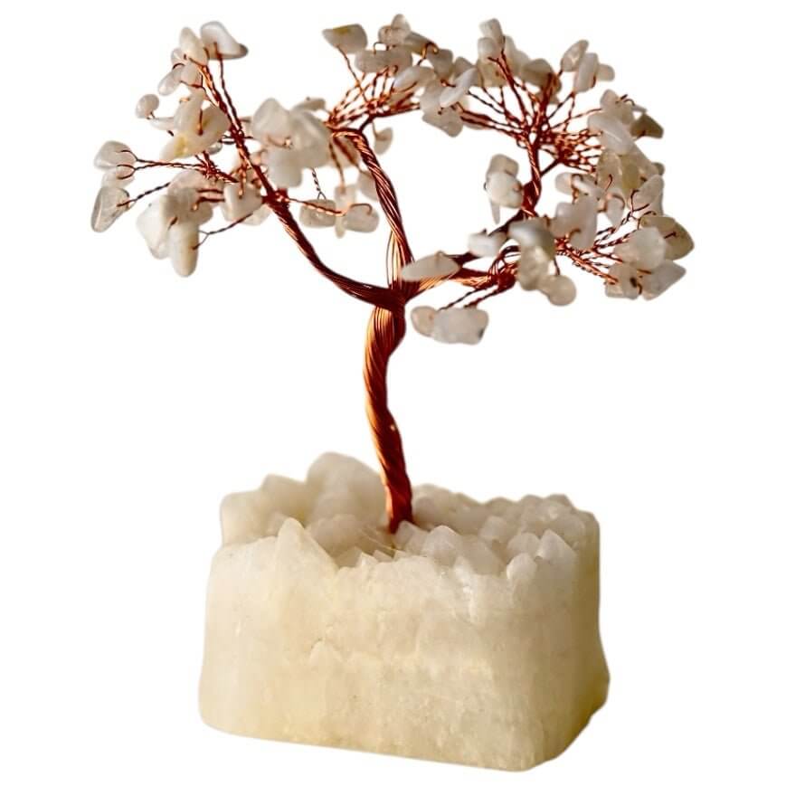 Weißer Quarz Baum auf Bergkristalldruse - Funkelnde Natur in hellen Tönen