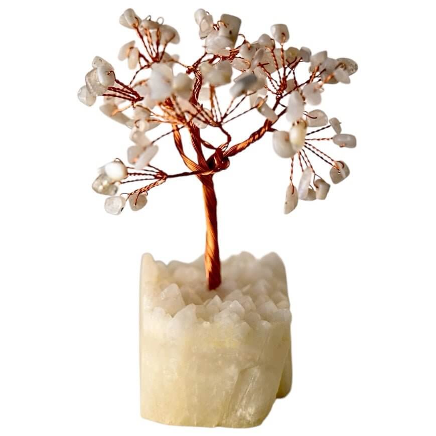 Weißer Quarz Baum auf Bergkristalldruse - Funkelnde Natur in hellen Tönen