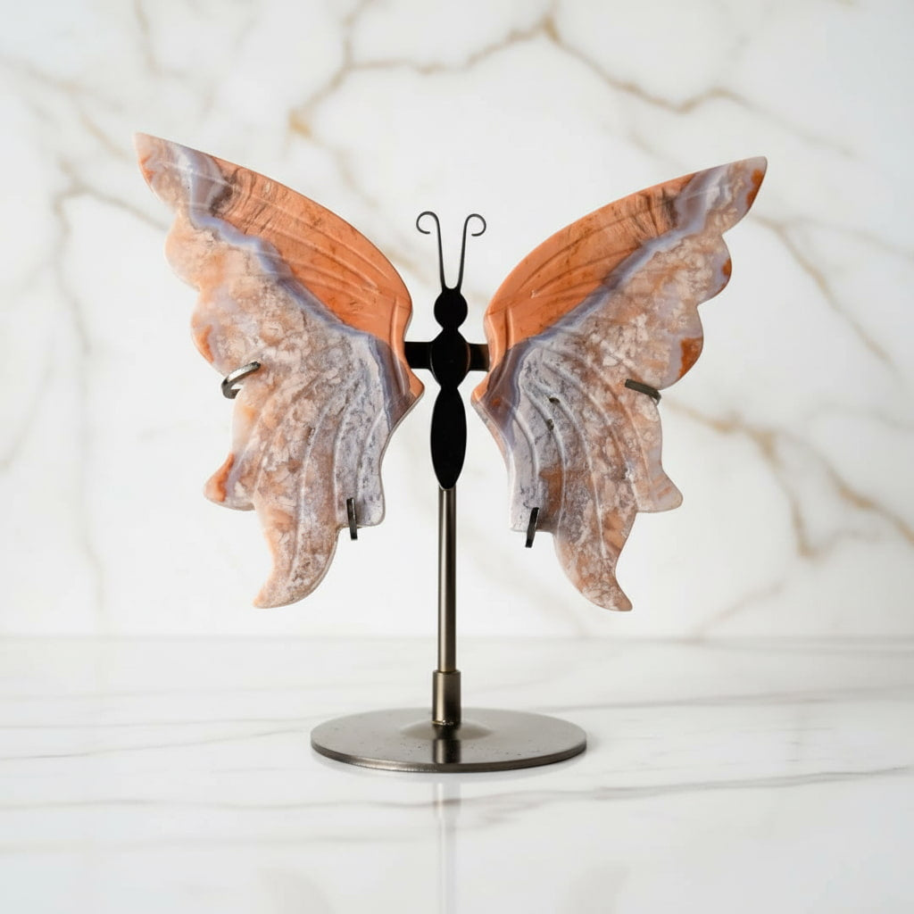 Achat Schmetterling mit zarten Flügeln