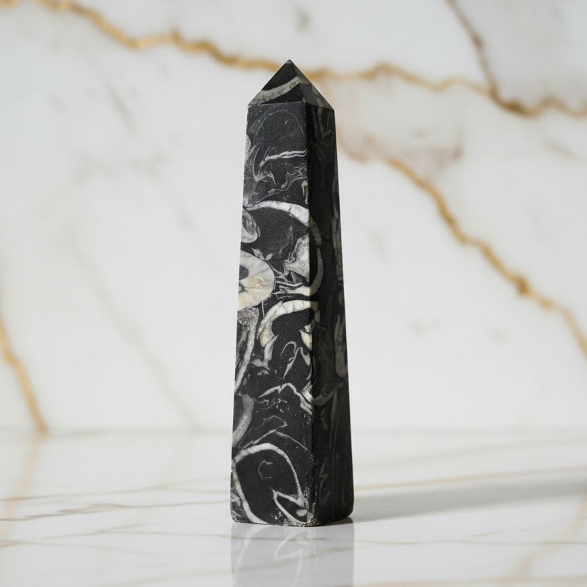 Jaspis Obelisk - Fossile Muster