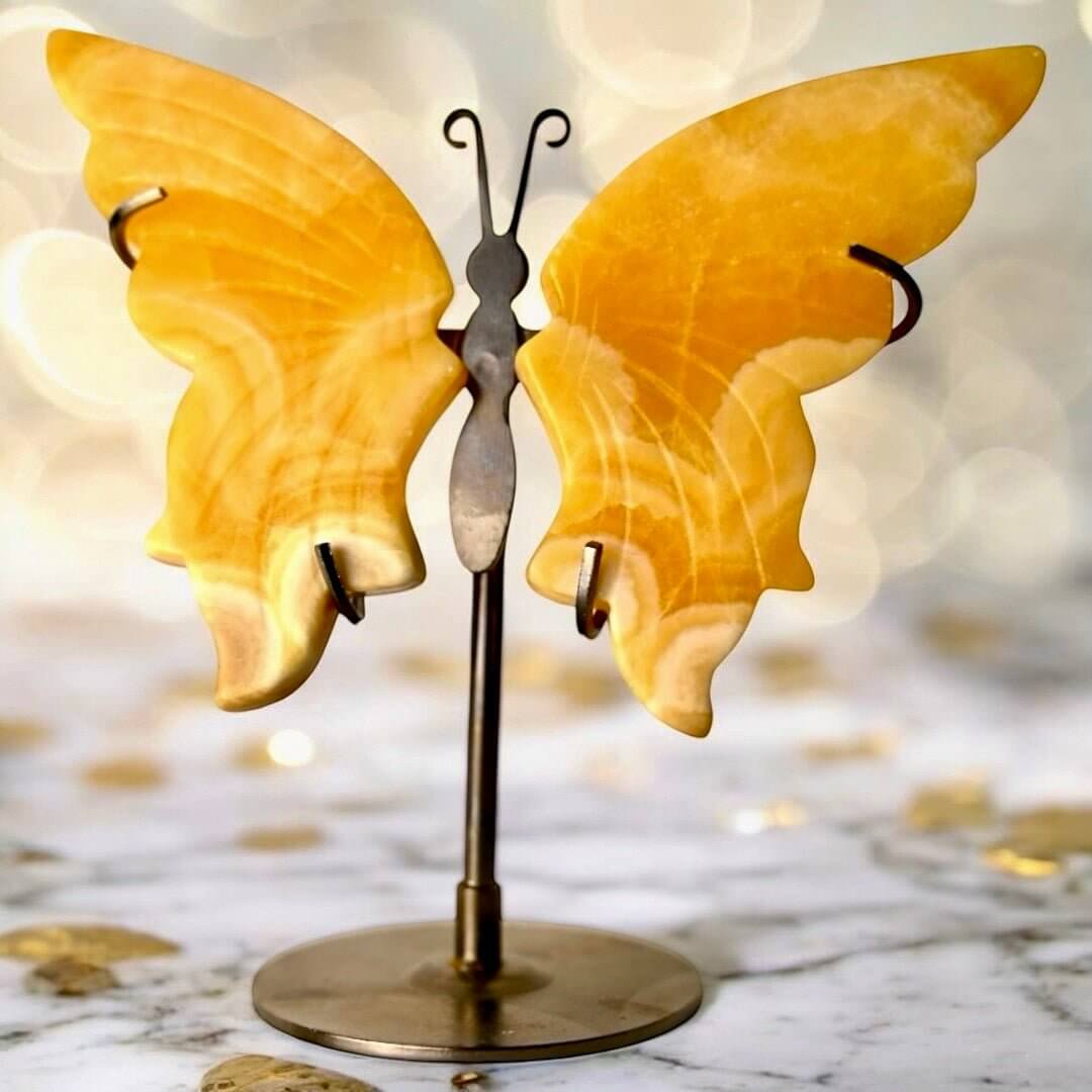 Wunderschöner Schmetterling mit Calcit-Flügeln