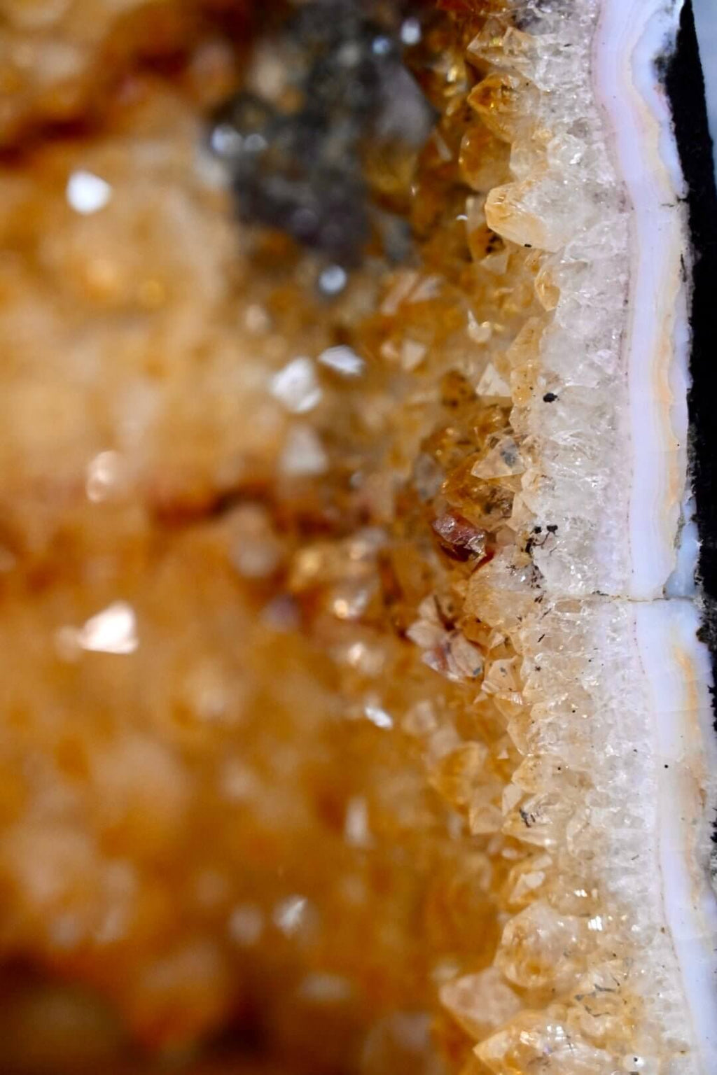 Citrin Druse – funkelndes Naturhighlight für positive Energie und Lebensfreude