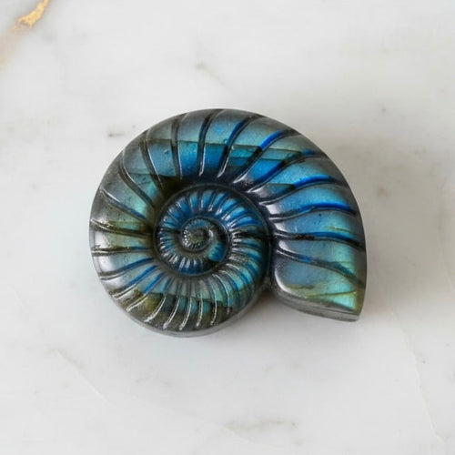 Labradorit Nautilus – Verbindung von Natur & Eleganz CrystalScents