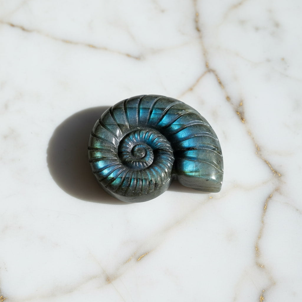 Labradorit Nautilus – Natur & Eleganz JETZT entdecken CrystalScents