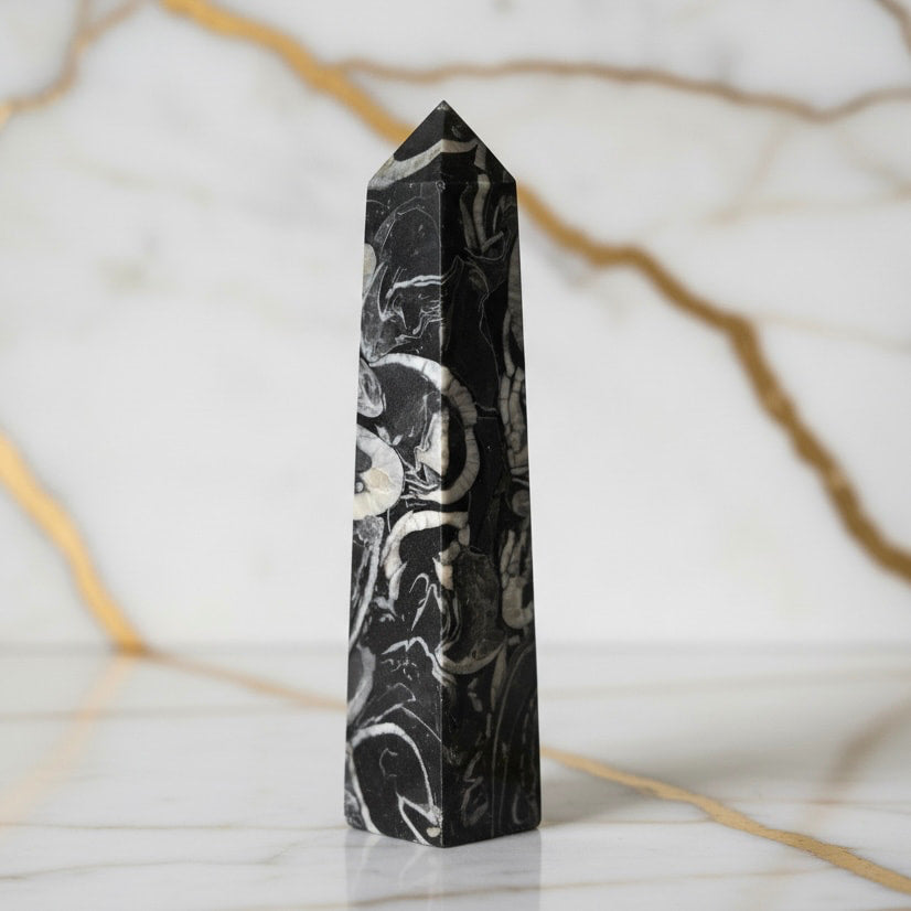 Jaspis Obelisk - Fossile Muster