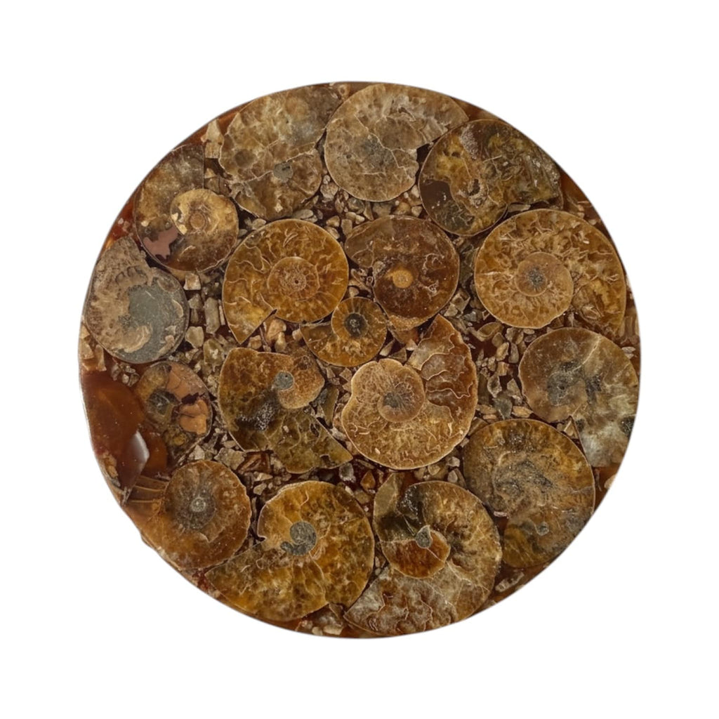 Ammoniten Scheibe - Fossile Kunst CrystalScents
