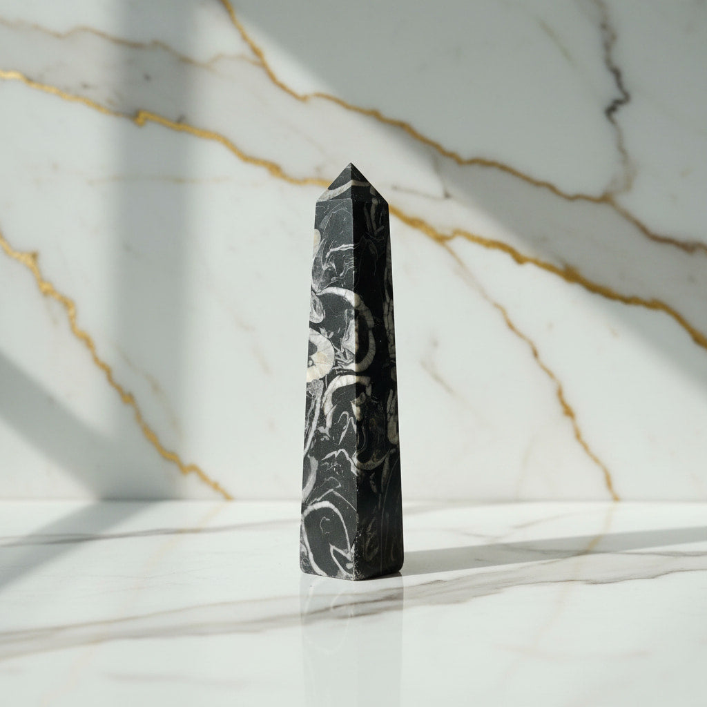 Muschel Jaspis Obelisk - Fossile Muster CrystalScents