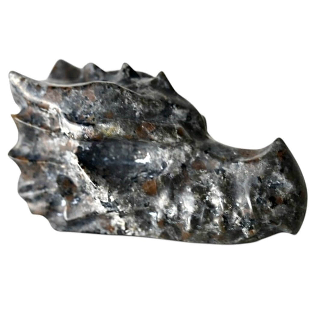 Flammenstein Drachenkopf – Lebendige Skulptur mit UV-reaktiver Farbwirkung