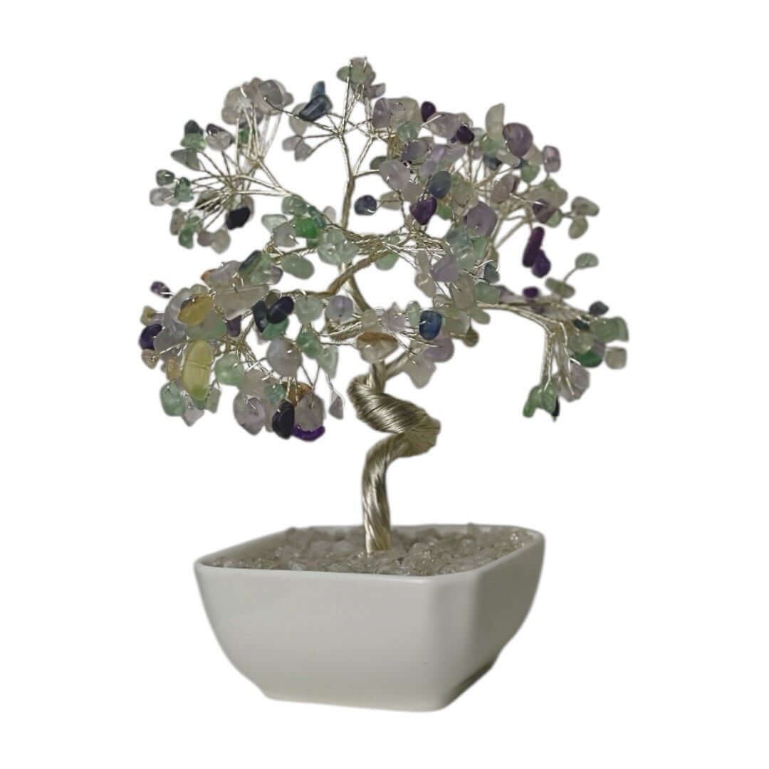 Fluorit Baum in Keramiktopf - Fröhlicher Akzent