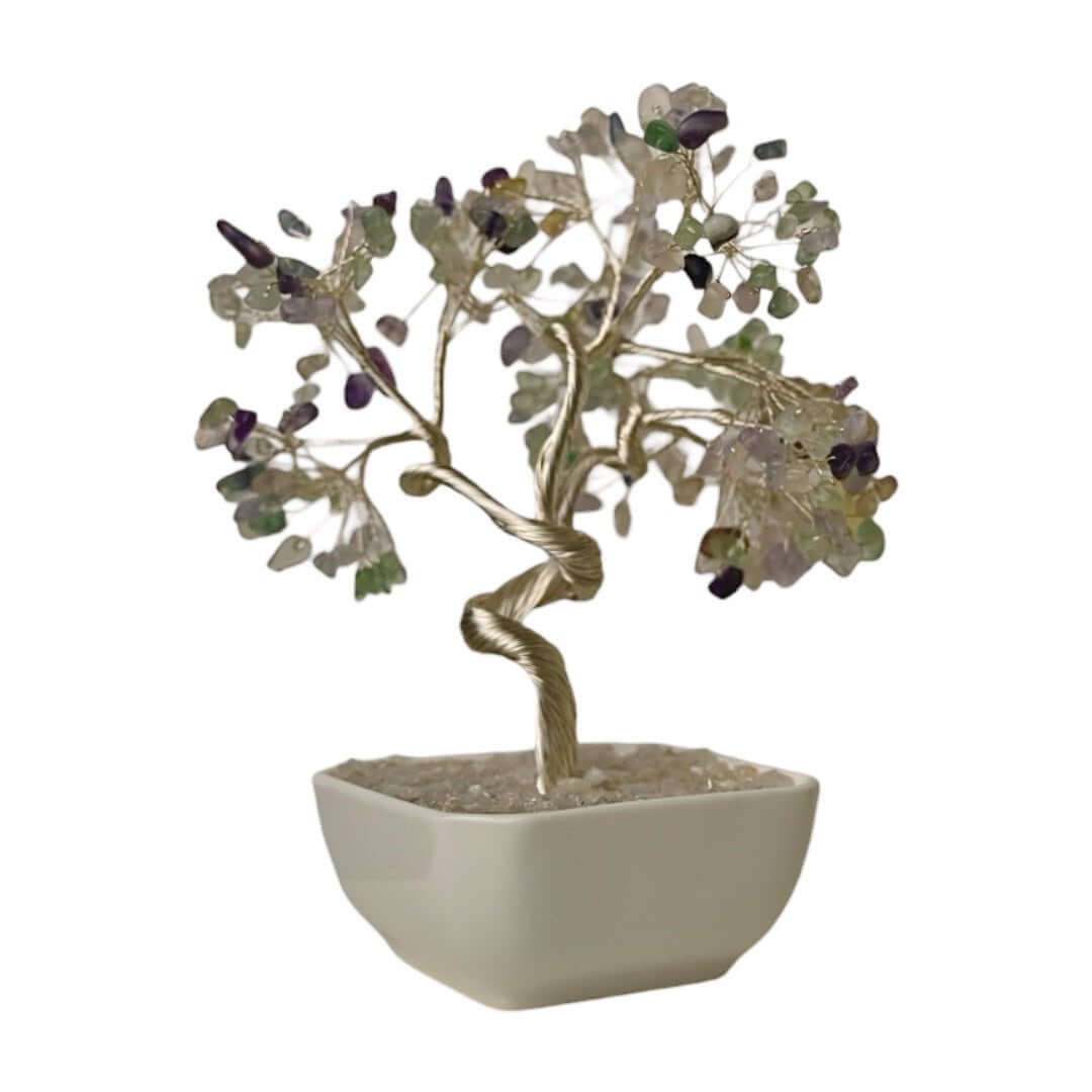 Fluorit Baum in Keramiktopf - Fröhlicher Akzent