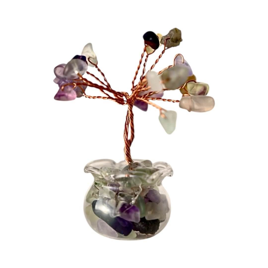 Mini Fluorit Baum in Topf - Bunte Kleinigkeit