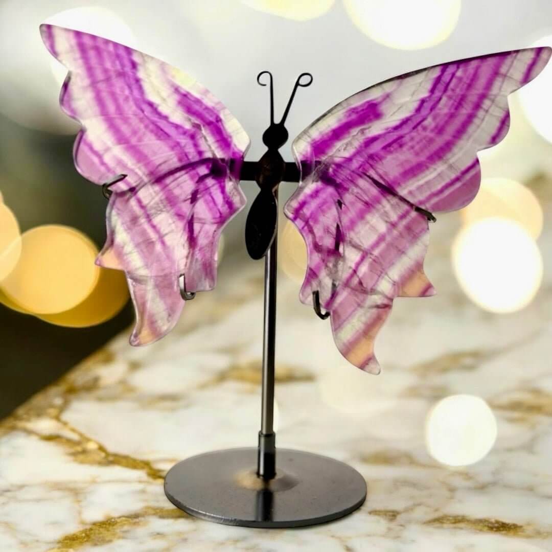 Wunderschöner Schmetterling mit Fluorit-Flügeln