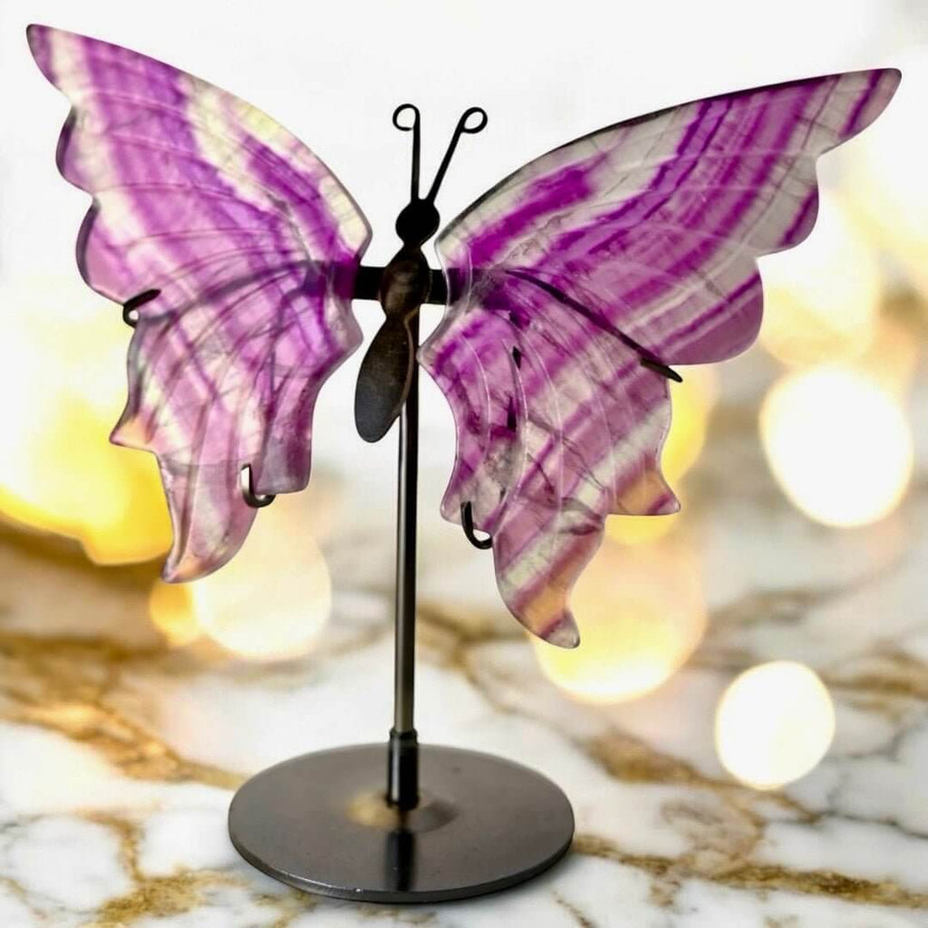 Wunderschöner Schmetterling mit Fluorit-Flügeln