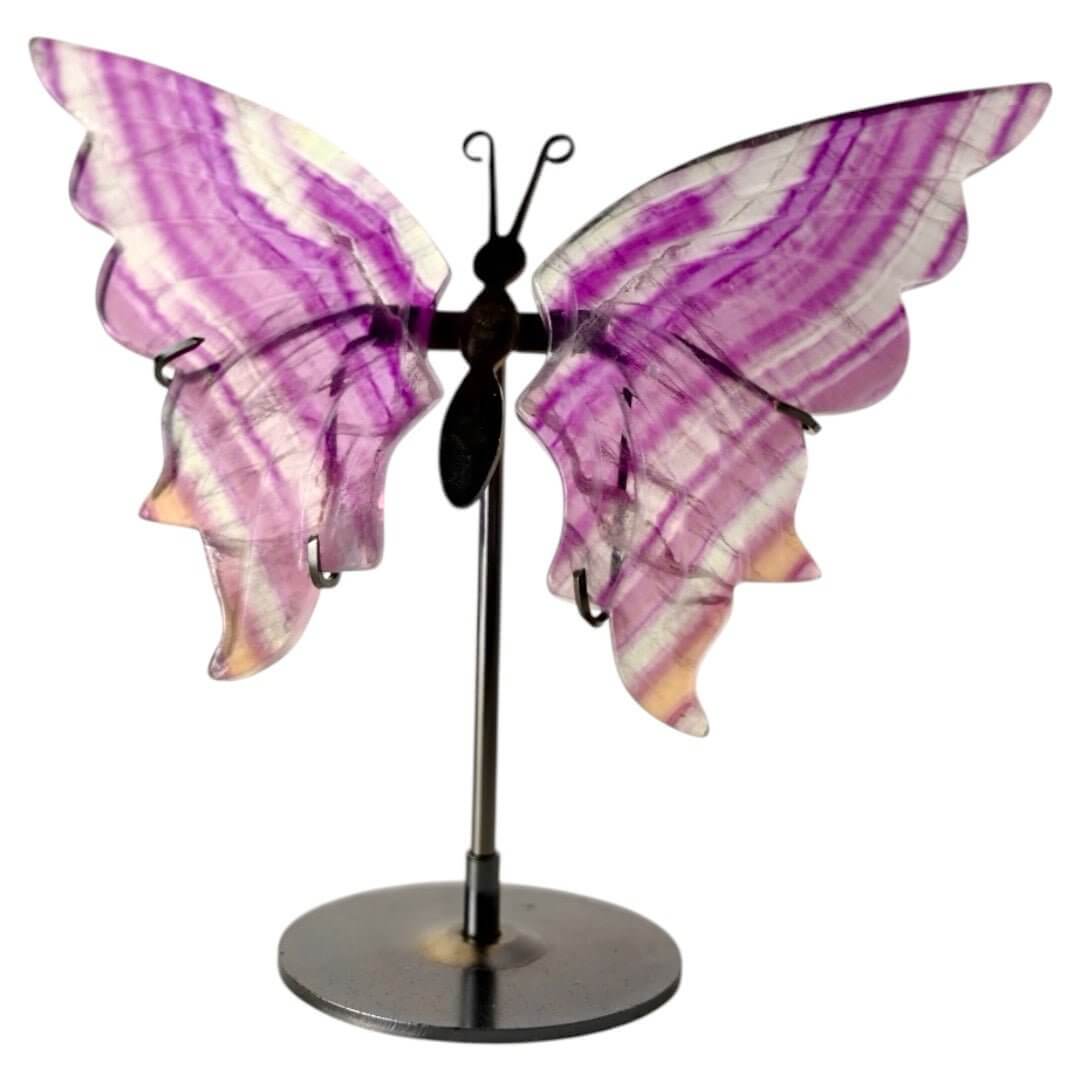 Wunderschöner Schmetterling mit Fluorit-Flügeln